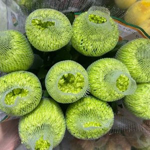 Hoa Cúc Lưới Xanh