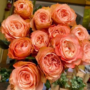 Hoa Hồng Đà Lạt Kahala