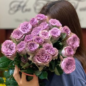 Hoa Hồng Đà Lạt Ohara Tím